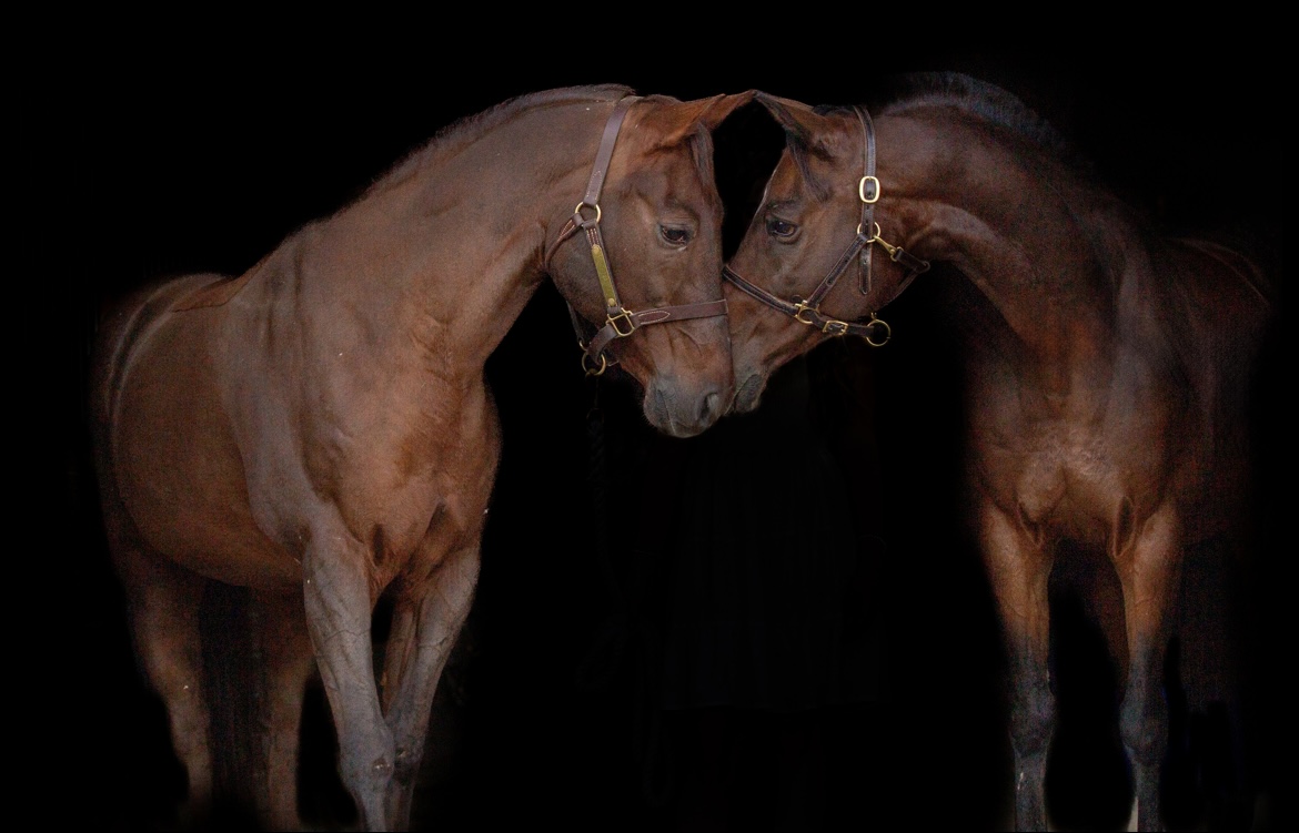 Capturing 2023 Through Lenses: A Year in&nbsp;Review